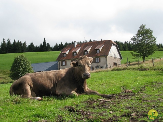 randonnée joëlettes, Vosges, 2014