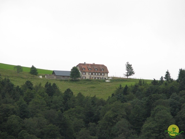 randonnée joëlettes, Vosges, 2014