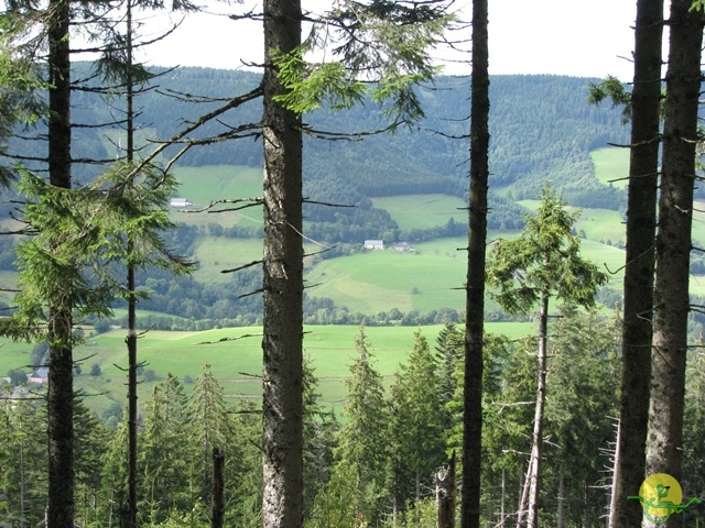 randonnée joëlettes, Vosges, 2014