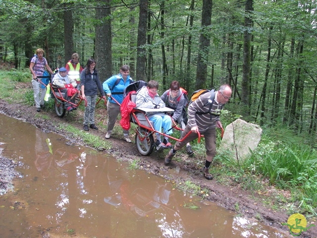 randonnée joëlettes, Vosges, 2014