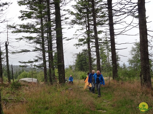 Randonnée avec joëlettes, Vosges, 2014