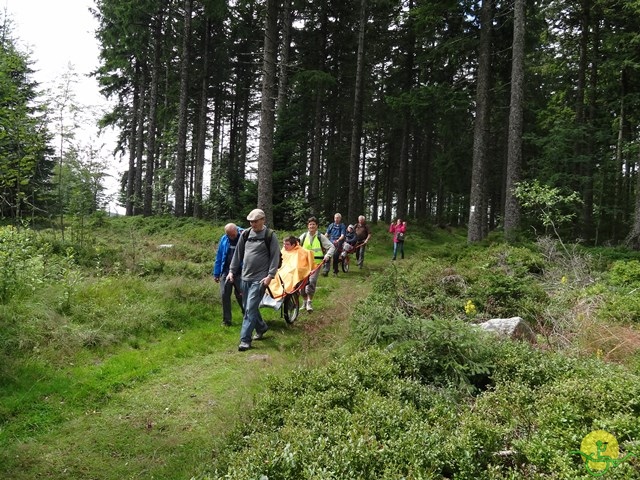 Randonnée avec joëlettes, Vosges, 2014