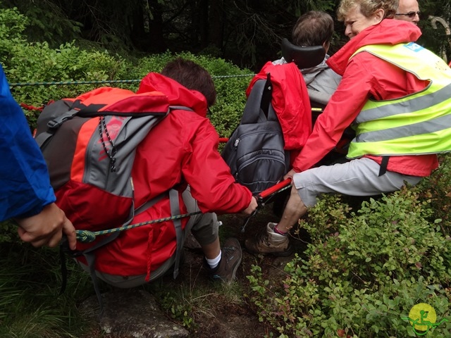 Randonnée avec joëlettes, Vosges, 2014