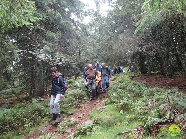 Randonnée avec joëlettes, Vosges, 2014