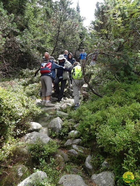 Randonnée avec joëlettes, Vosges, 2014