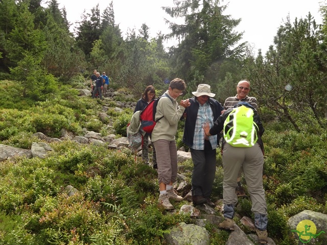 Randonnée avec joëlettes, Vosges, 2014