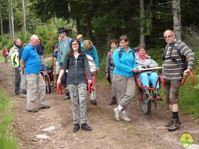 Randonnée avec joëlettes, Vosges, 2014