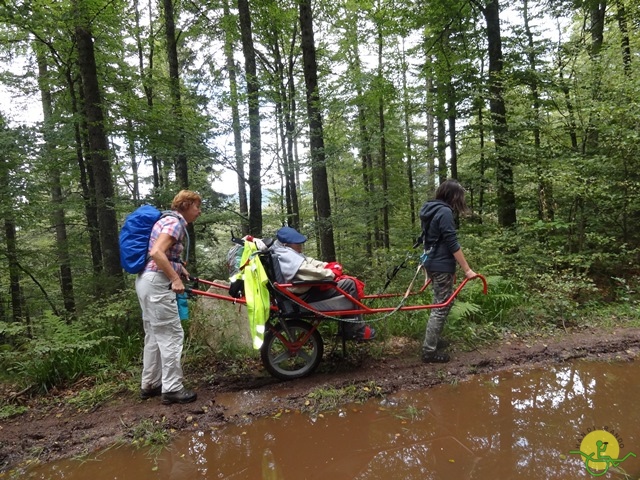 Randonnée avec joëlettes, Vosges, 2014