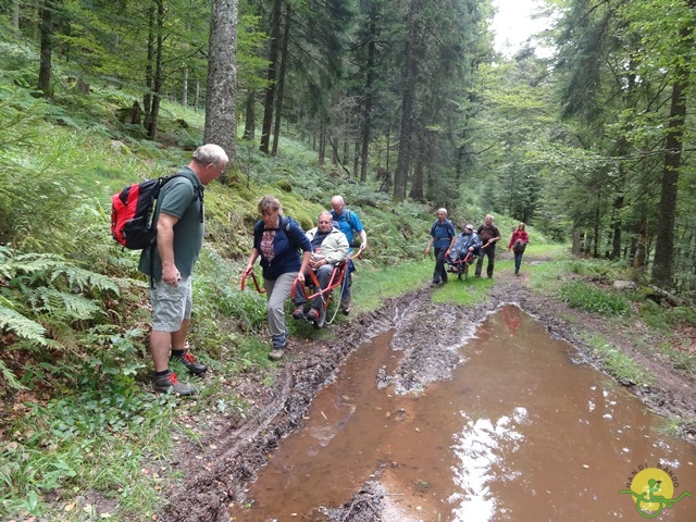 Randonnée avec joëlettes, Vosges, 2014