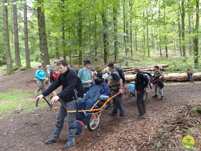 Randonnée avec joëlettes, Vosges, 2014