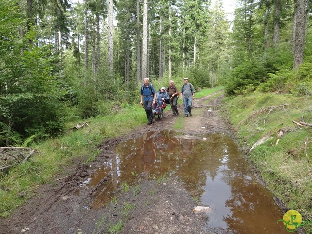 Randonnée avec joëlettes, Vosges, 2014