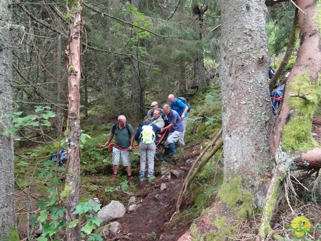 Randonnée avec joëlettes, Vosges, 2014