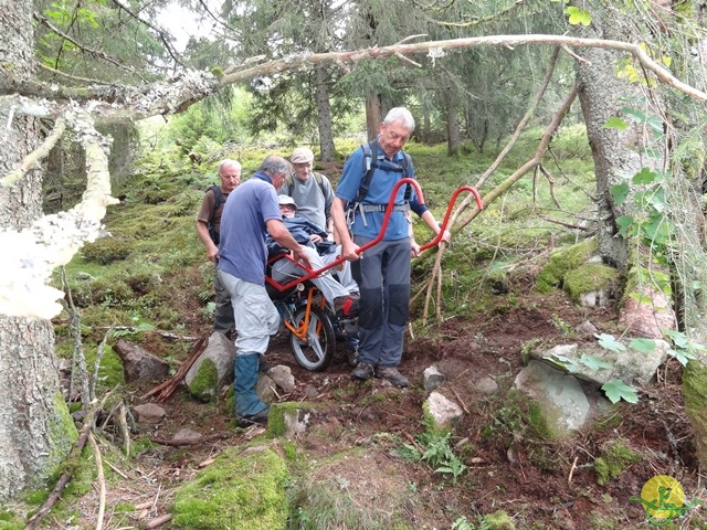 Randonnée avec joëlettes, Vosges, 2014