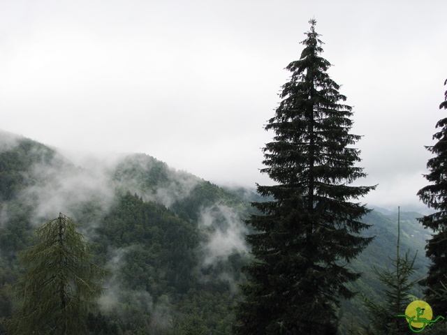 randonnée joëlettes, Vosges, 2014