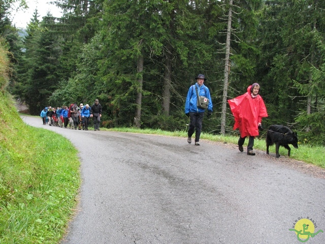 randonnée joëlettes, Vosges, 2014