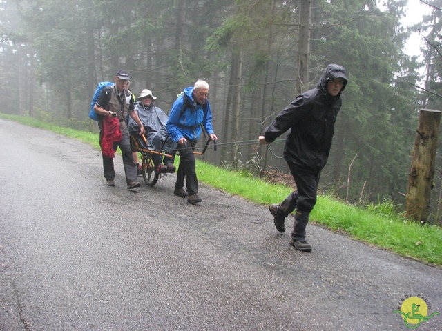 randonnée joëlettes, Vosges, 2014