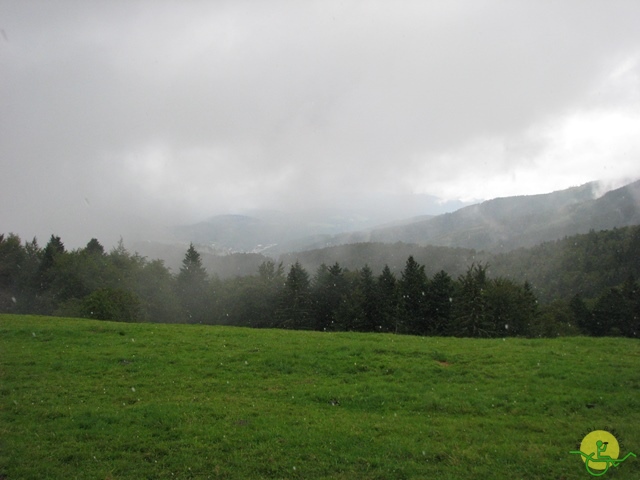 randonnée joëlettes, Vosges, 2014