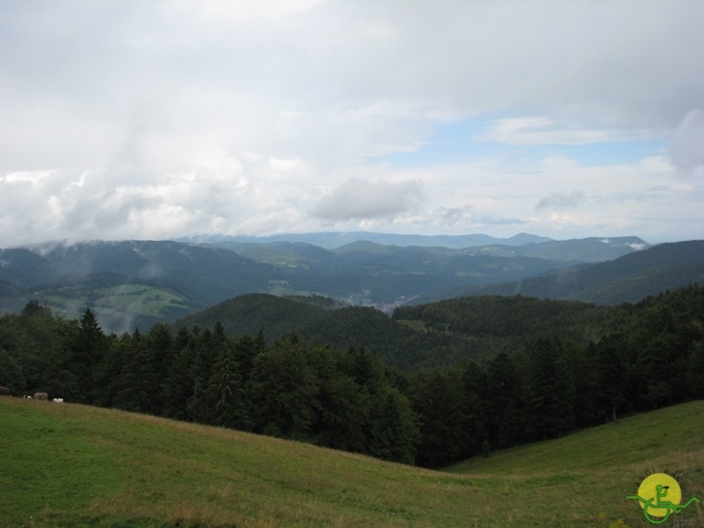 randonnée joëlettes, Vosges, 2014