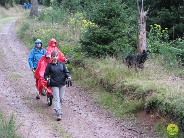 randonnée joëlettes, Vosges, 2014