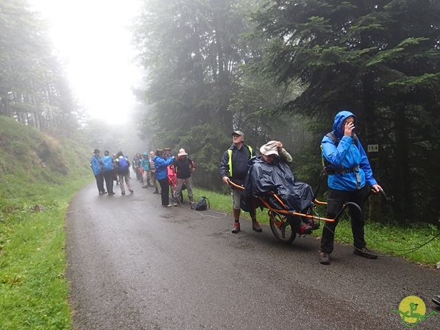 Randonnée avec joëlettes, Vosges, 2014