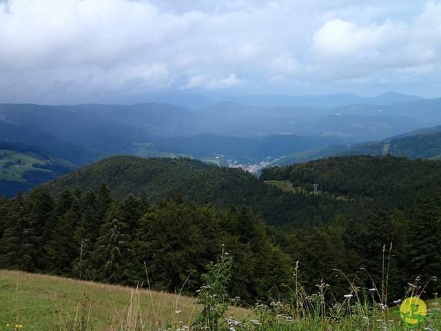 Randonnée avec joëlettes, Vosges, 2014