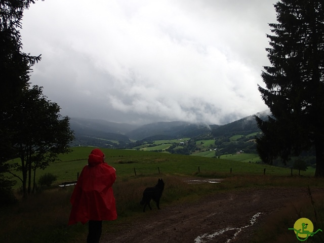 Randonnée avec joëlettes, Vosges, 2014