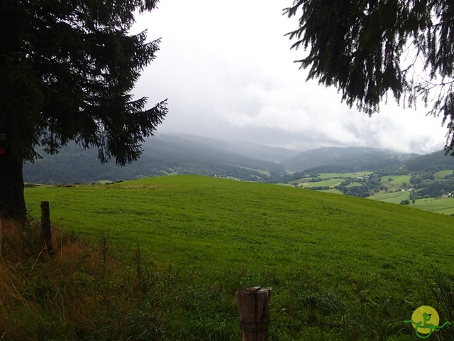 Randonnée avec joëlettes, Vosges, 2014