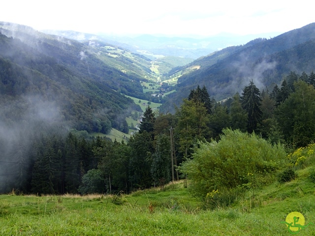 Randonnée avec joëlettes, Vosges, 2014