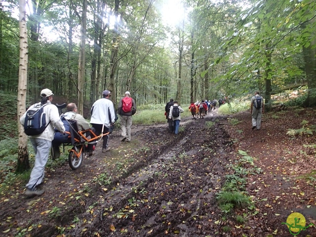 Randonnée joëlettes, La Hulpe, 2014