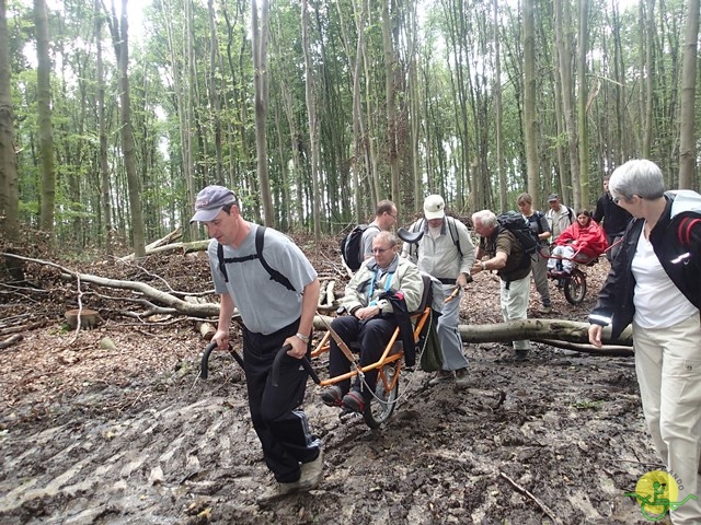 Randonnée joëlettes, La Hulpe, 2014