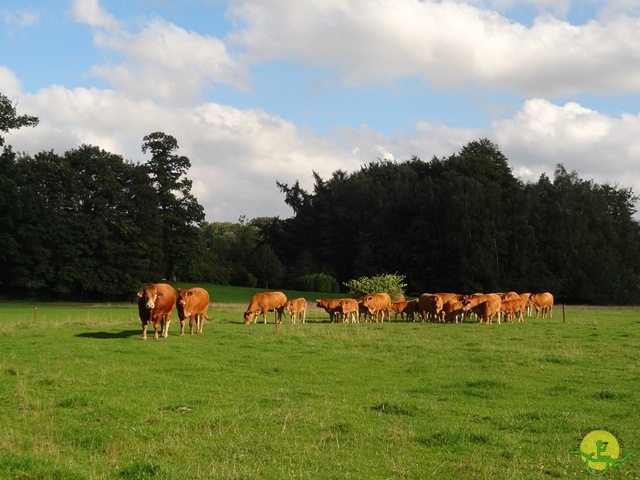 Randonnée joëlettes, La Hulpe, 2014