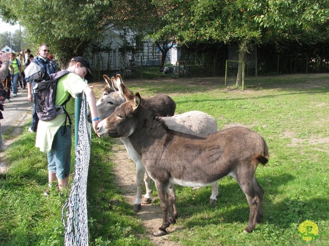 Randonnée joëlettes, Feluy, 2014