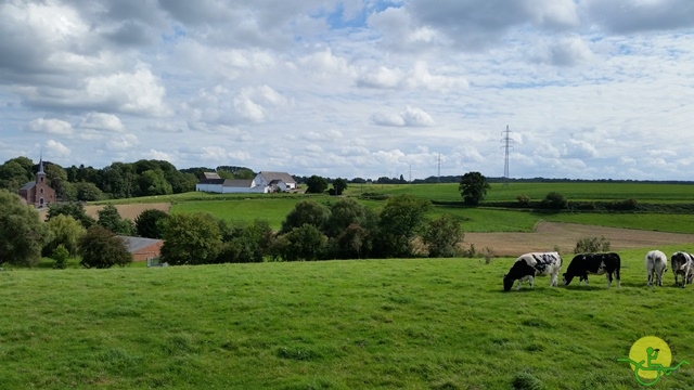 Randonnée joëlettes, Feluy, 2014