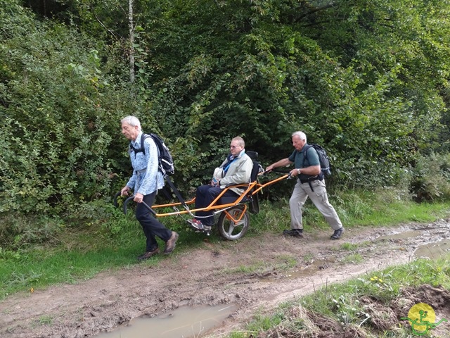 Randonnée joëlettes, Fagnes, 2014