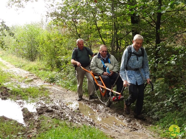 Randonnée joëlettes, Fagnes, 2014