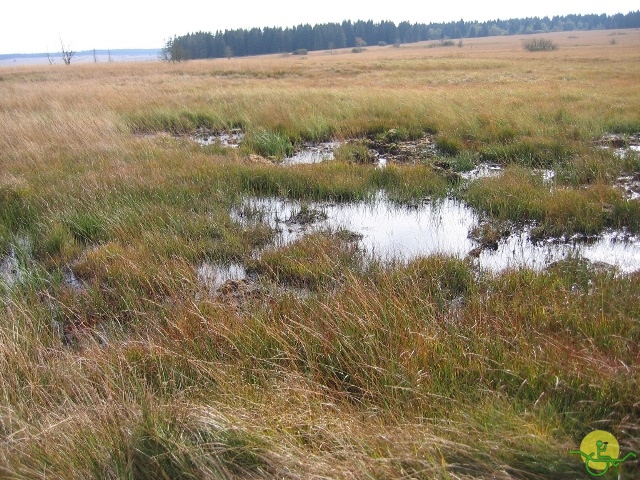 Randonnée joëlettes, Fagnes, 2014