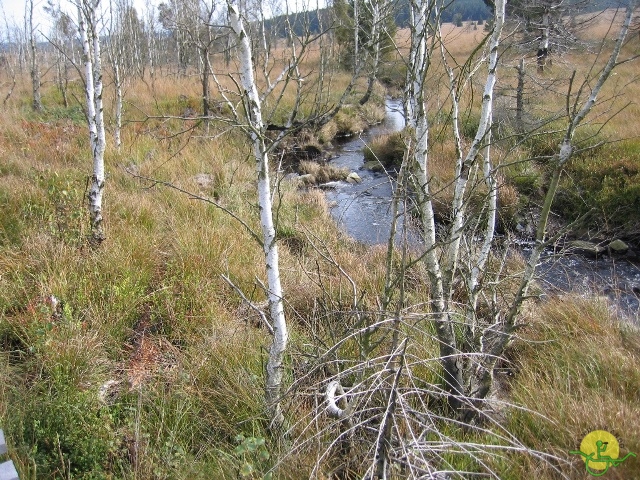 Randonnée joëlettes, Fagnes, 2014