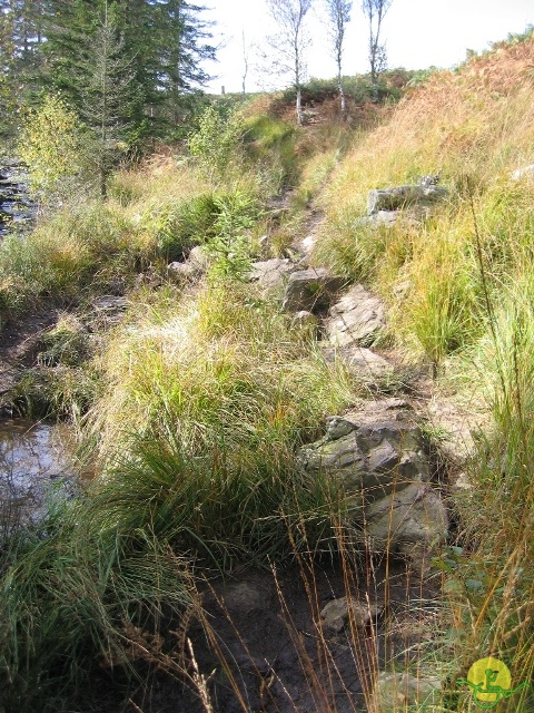 Randonnée joëlettes, Fagnes, 2014