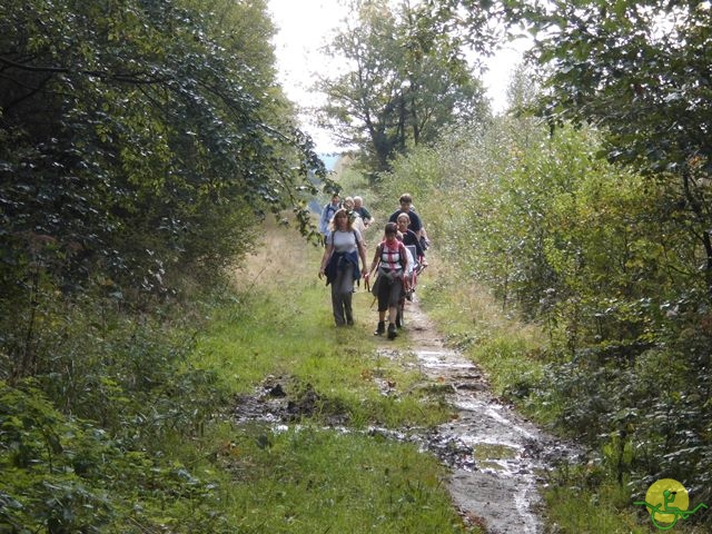 Randonnée joëlettes, Fagnes, 2014