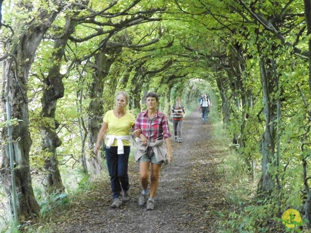 Randonnée joëlettes, Fagnes, 2014