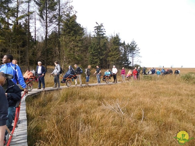 Randonnée joëlettes, Fagnes, 2014