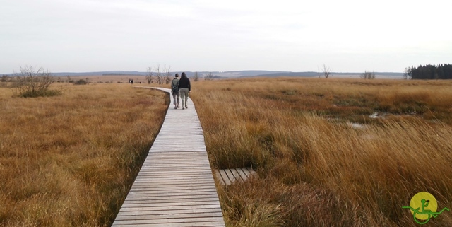 Randonnée joëlettes, Fagnes, 2014