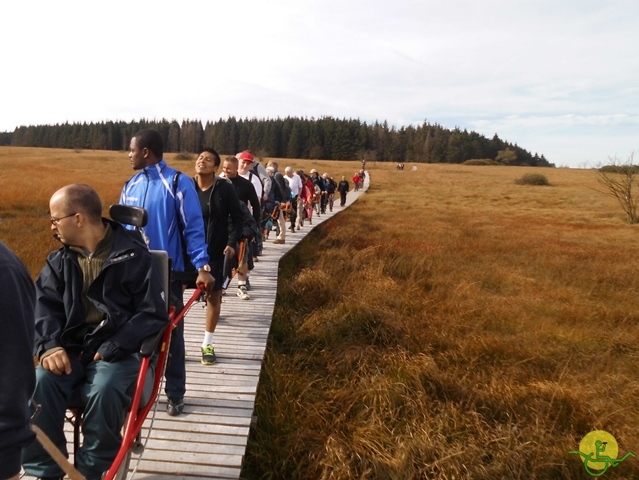 Randonnée joëlettes, Fagnes, 2014