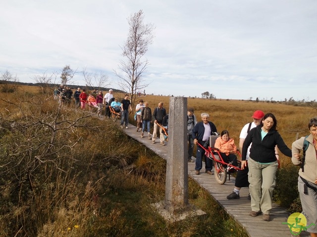 Randonnée joëlettes, Fagnes, 2014