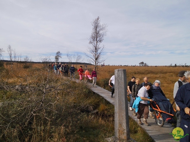 Randonnée joëlettes, Fagnes, 2014