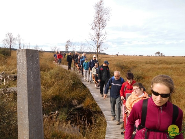 Randonnée joëlettes, Fagnes, 2014