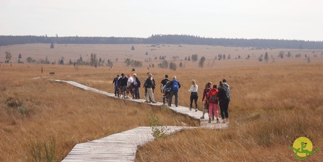 Randonnée joëlettes, Fagnes, 2014