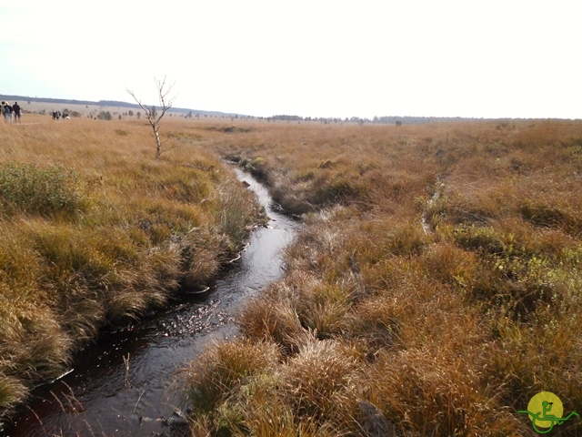 Randonnée joëlettes, Fagnes, 2014