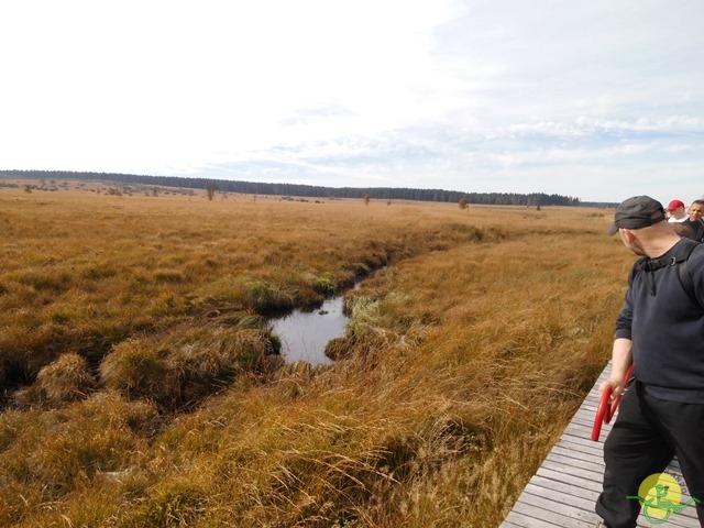 Randonnée joëlettes, Fagnes, 2014