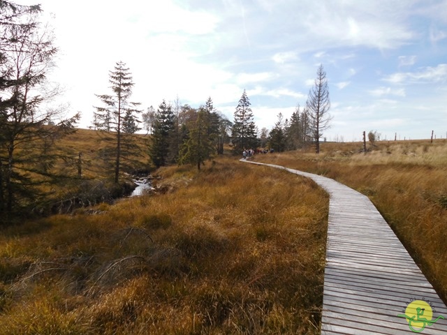 Randonnée joëlettes, Fagnes, 2014